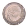 Peinture IRHSP Light Flesh